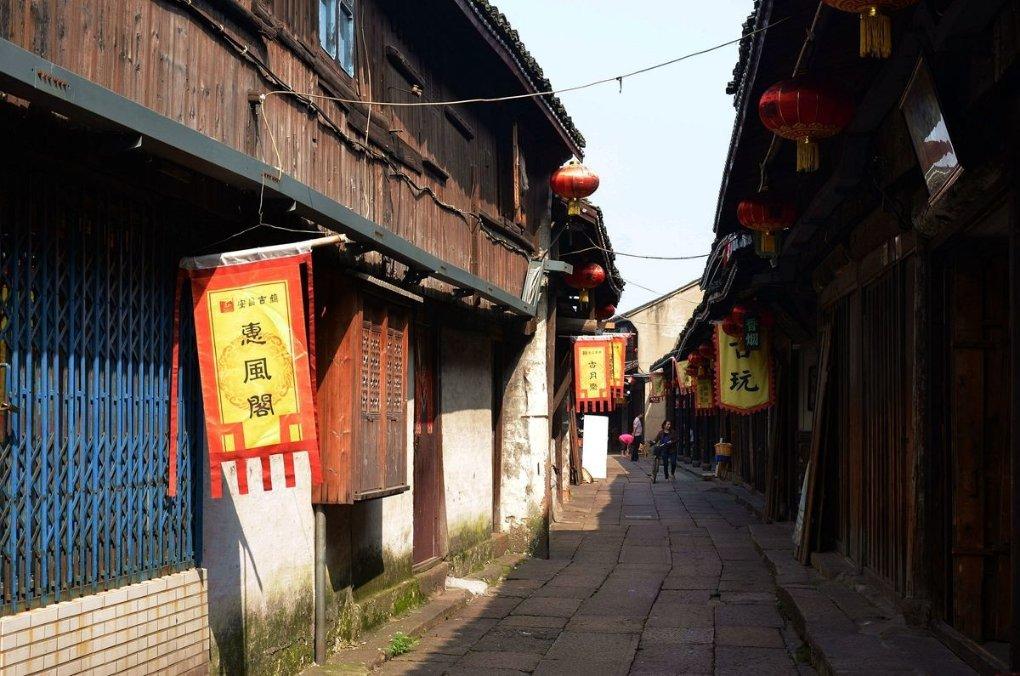 动物帮帮忙保卫家园
